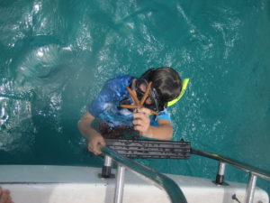 Homeschool vacation