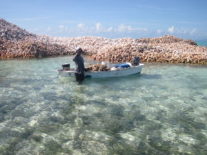 Bonefishing BVI